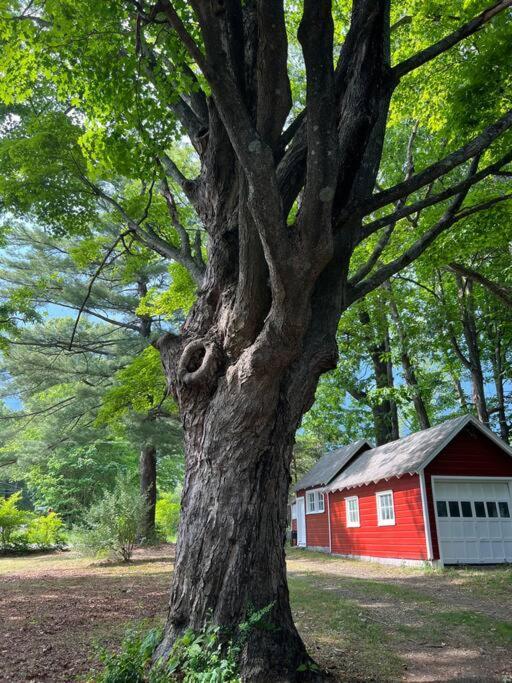 Schoolhouse No. 11 * Hudson Valley Upstate Getaway Stone Ridge Bagian luar foto